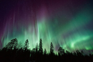 Green and blue northern lights at night with a silhouette of an evergreen forest.
