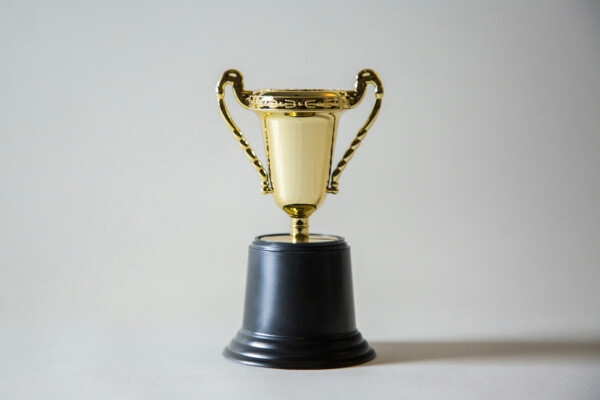 A gold and black trophy against a grey background.
