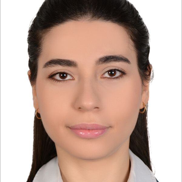 Ailin Javidi