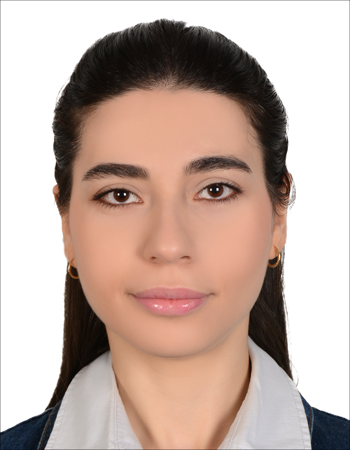 Ailin Javidi