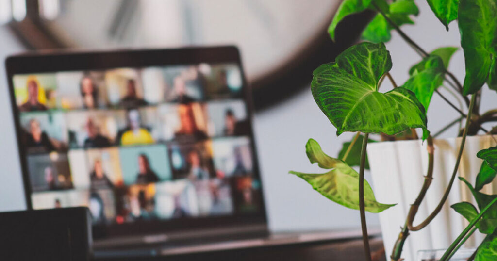laptop displaying participants in a virtual meeting with a houseplant in the foreground