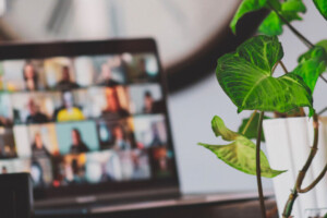 laptop displaying participants in a virtual meeting with a houseplant in the foreground