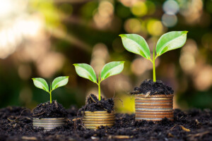 growing stacks of coins with plants coming out the top, in nature