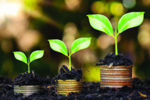 growing stacks of coins with plants coming out the top, in nature