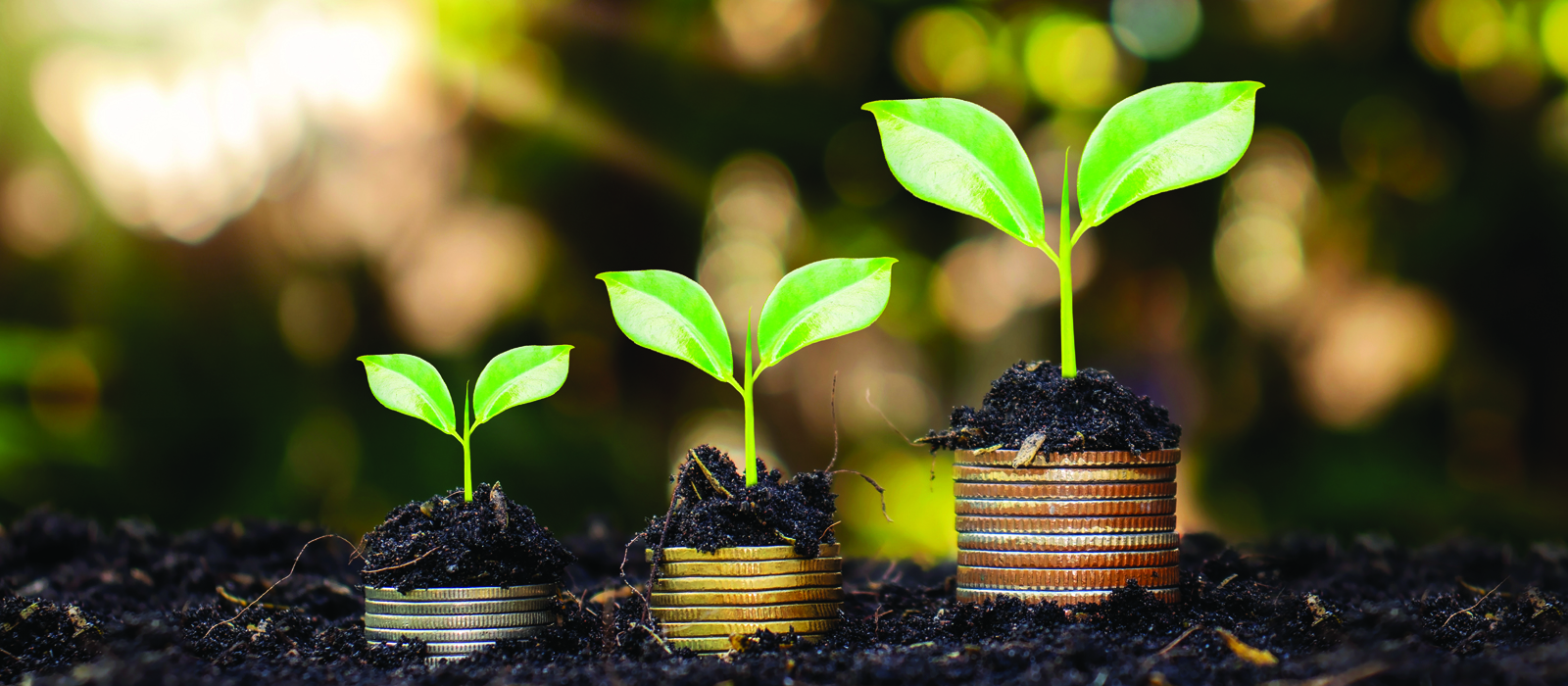 growing stacks of coins with plants coming out the top, in nature