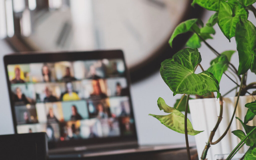 laptop displaying a participants in a virtual meeting with a houseplant in the foreground