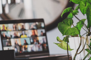 laptop displaying a participants in a virtual meeting with a houseplant in the foreground